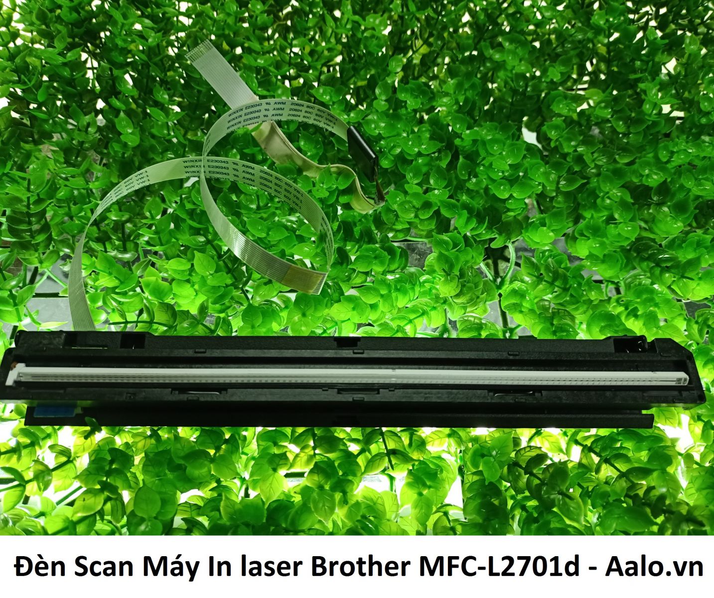 Đèn Scan Máy In laser Brother MFC-L2701d - Aalo.vn