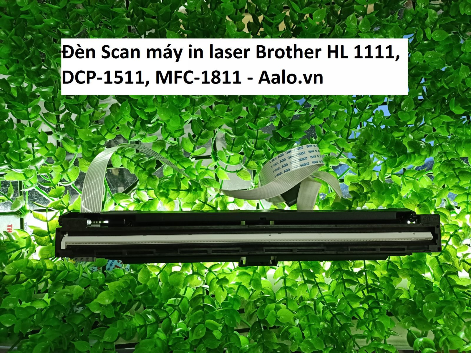 Đèn Scan máy in laser Brother HL 1111, DCP-1511, MFC-1811 - Aalo.vn