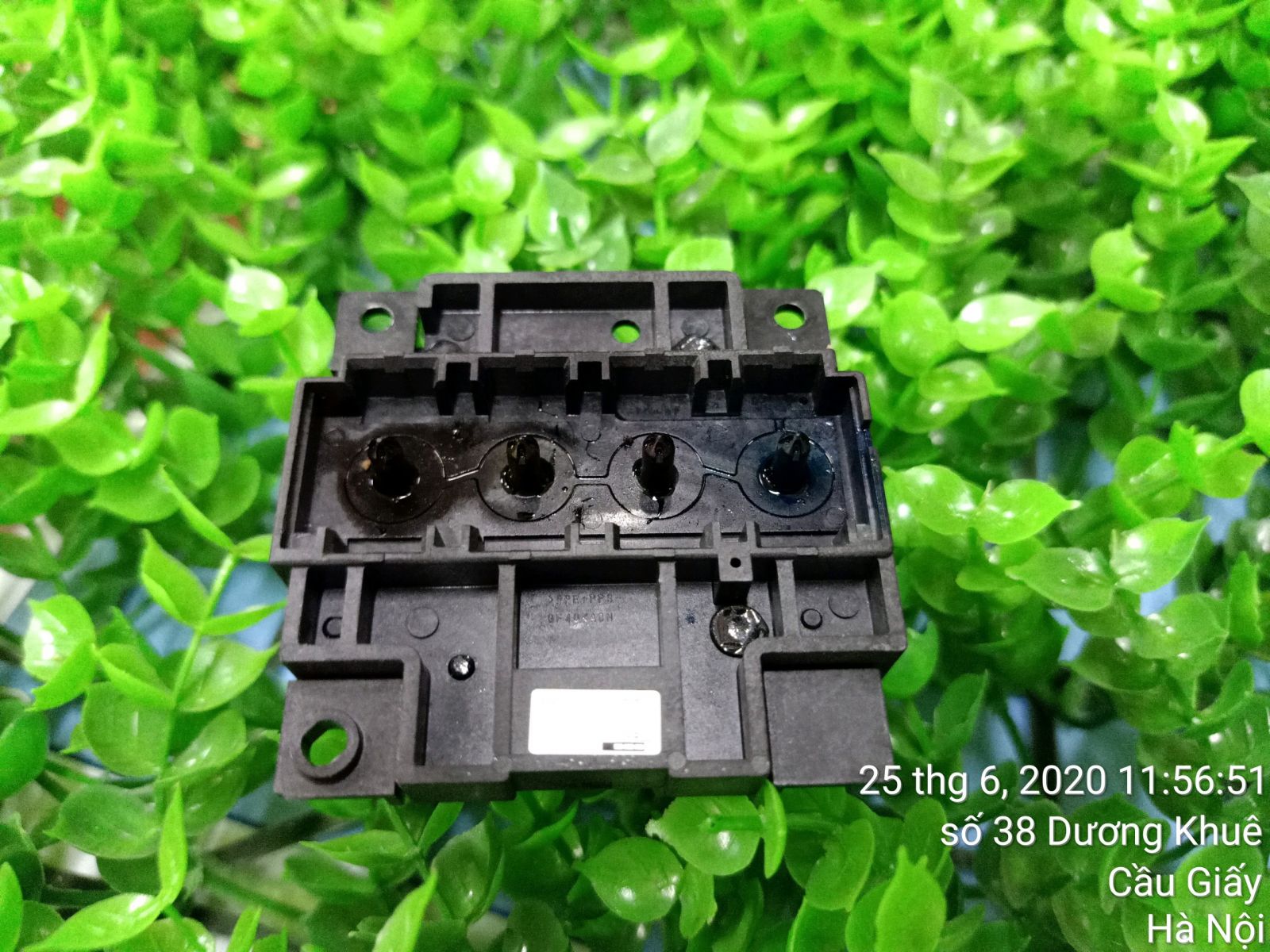 Đầu phun Máy in phun màu Epson L300 L310 L110 - aalo.vn 