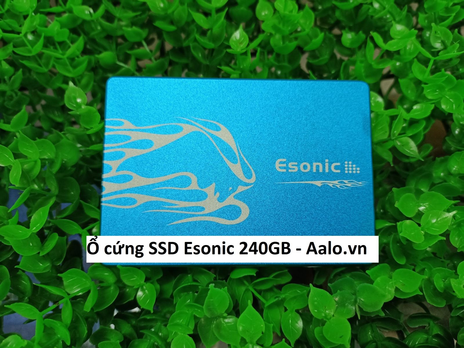 Ổ cứng SSD Esonic 240GB - Aalo.vn