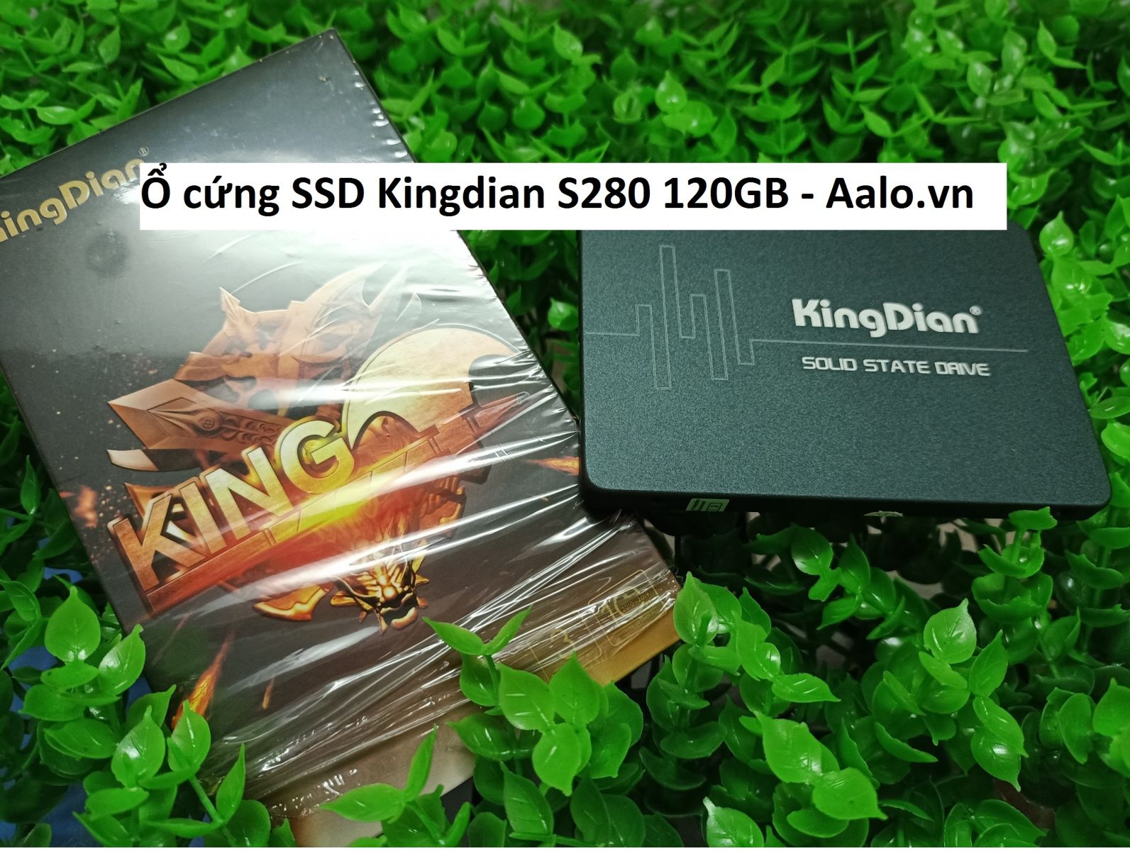 Ổ cứng SSD Kingdian S280 120GB - Aalo.vn