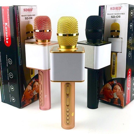  Micro Karaoke Kiêm Loa Bluetooth SD17 Hàng Chuẩn Chính Hãng-aalo.vn