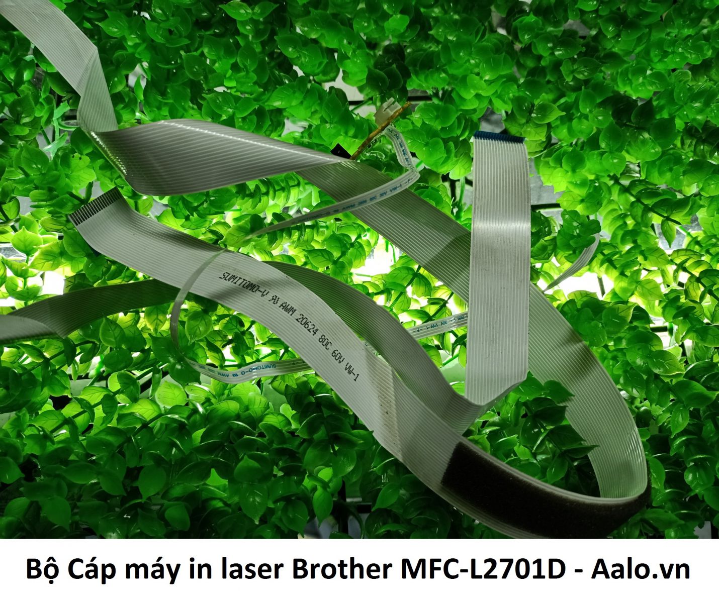 Bộ Cáp máy in laser Brother MFC-L2701D - Aalo.vn