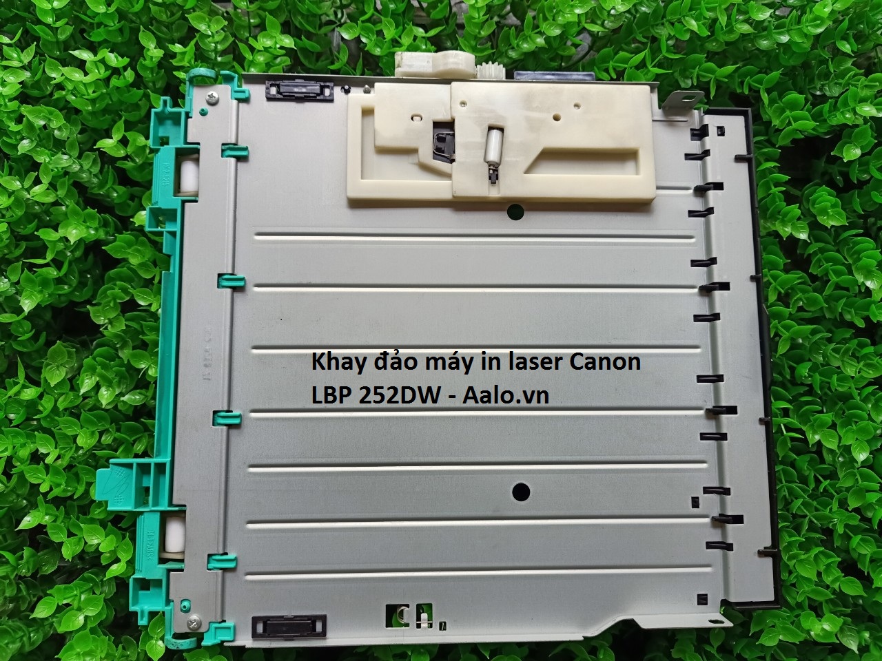 Khay đảo máy in laser Canon LBP 252DW - Aalo.vn