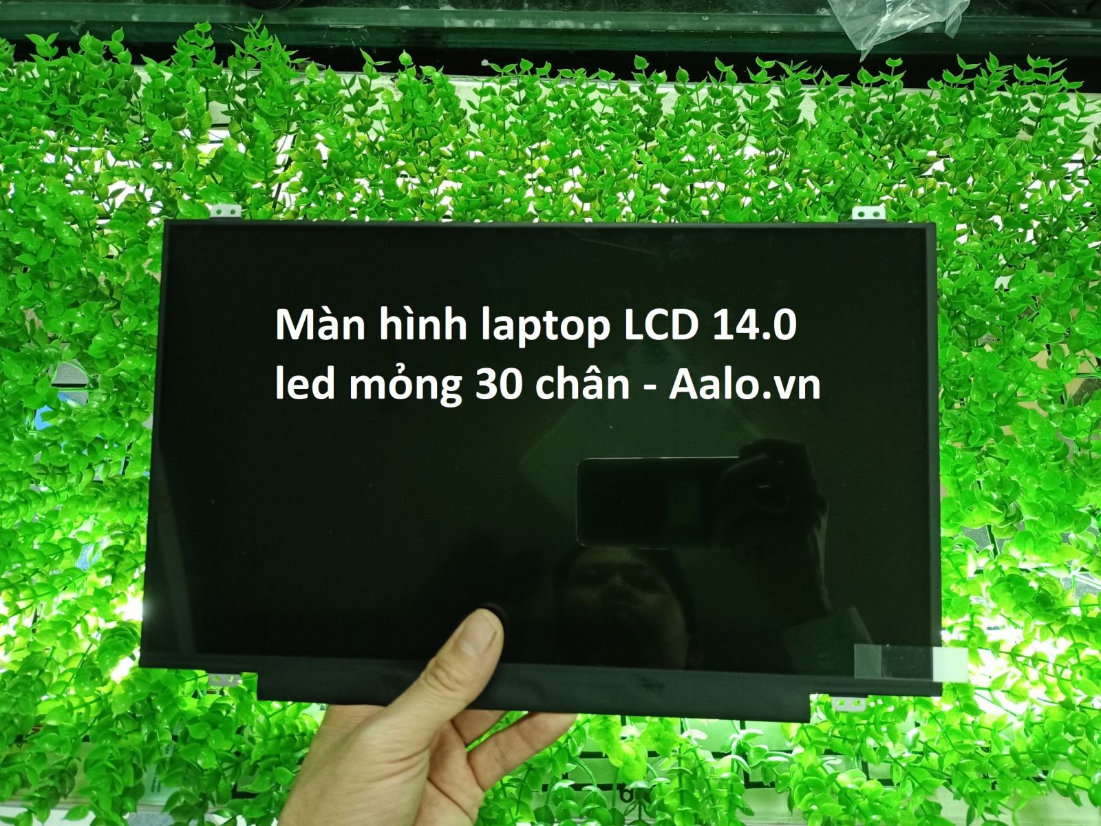 Màn hình Laptop Asus X441 X441S X441U X441SA X441UA - Aalo.vn