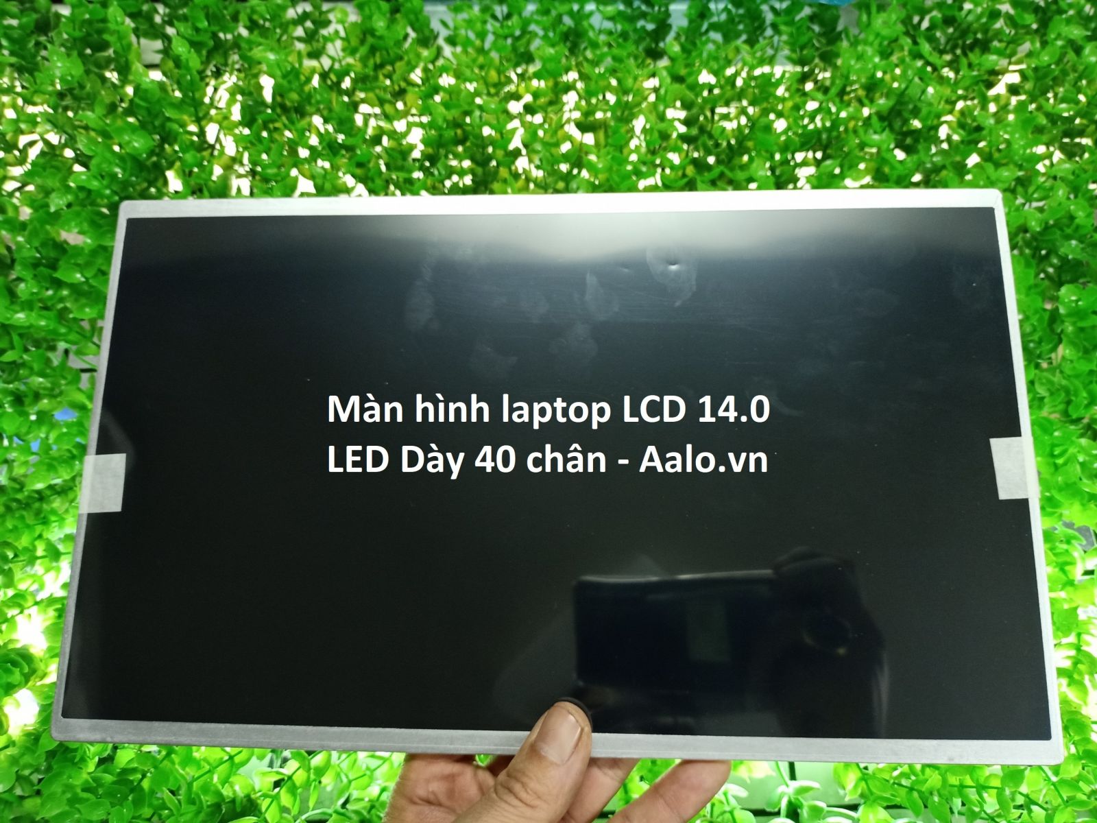 Màn hình Laptop Dell Latitude P15G - Aalo.vn