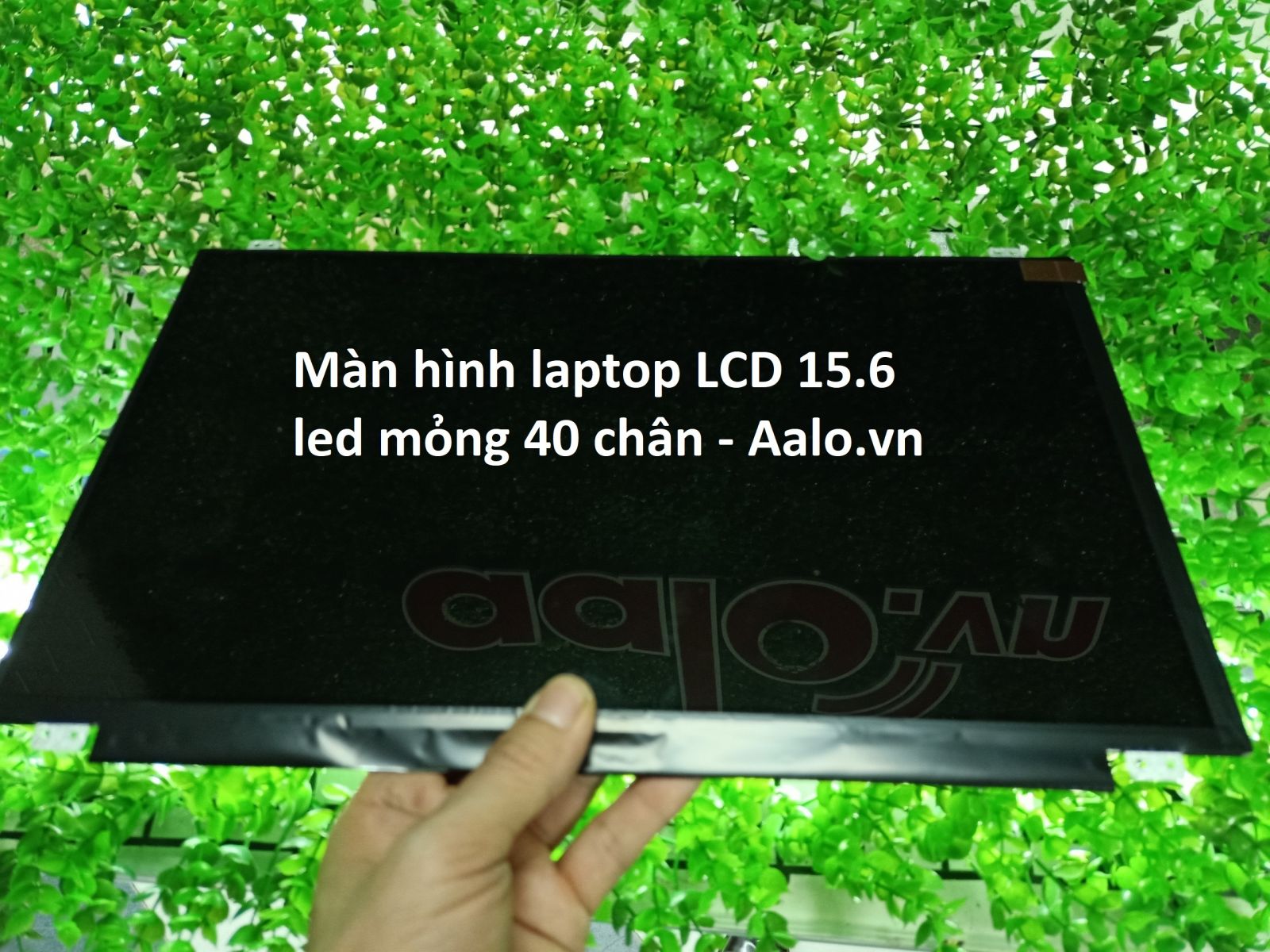 Màn hình Laptop HP Pavilion 15B - Aalo.vn