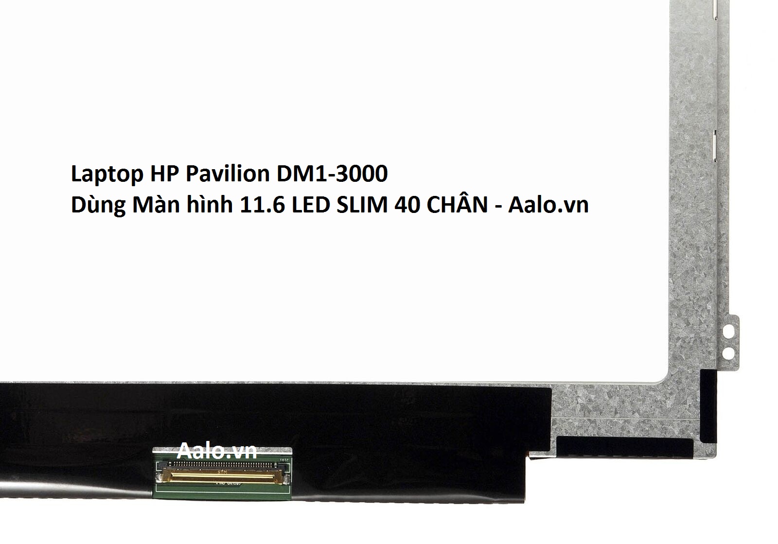 Màn hình Laptop HP Pavilion DM1-3000 - Aalo.vn