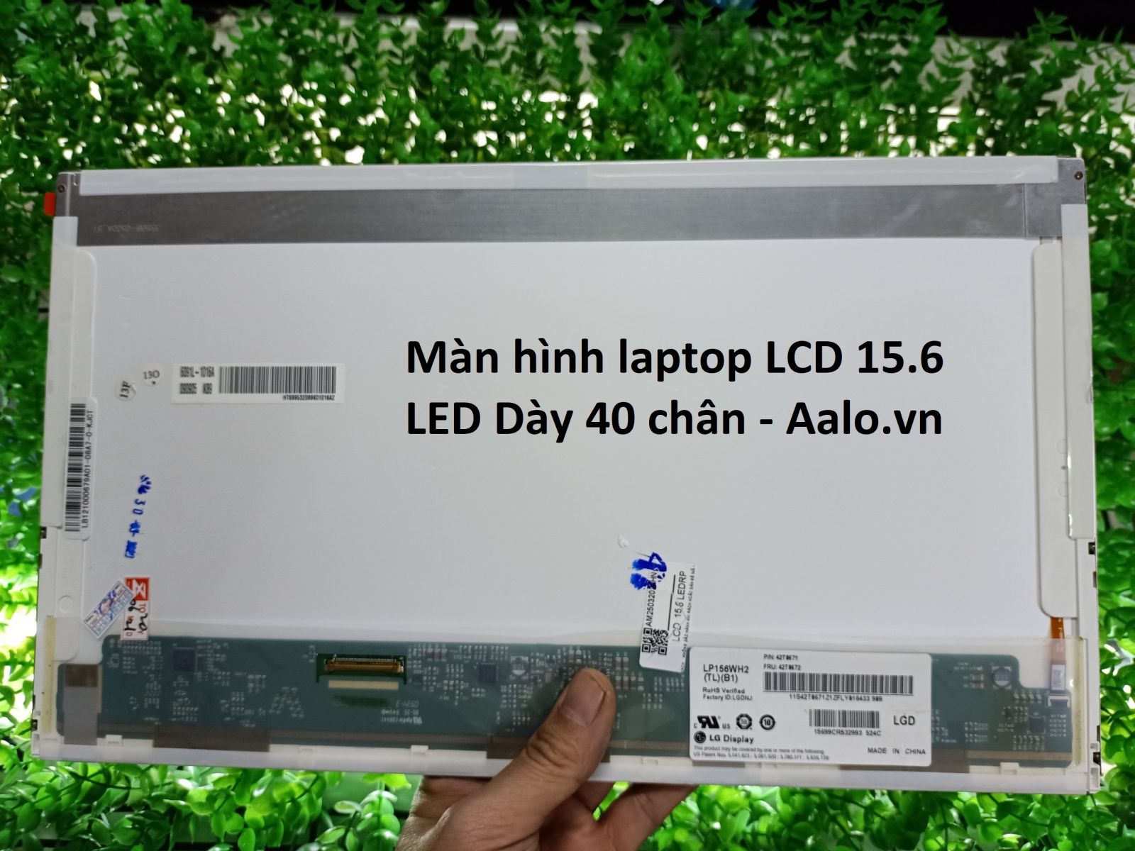 Màn hình Laptop LG R580 - Aalo.vn