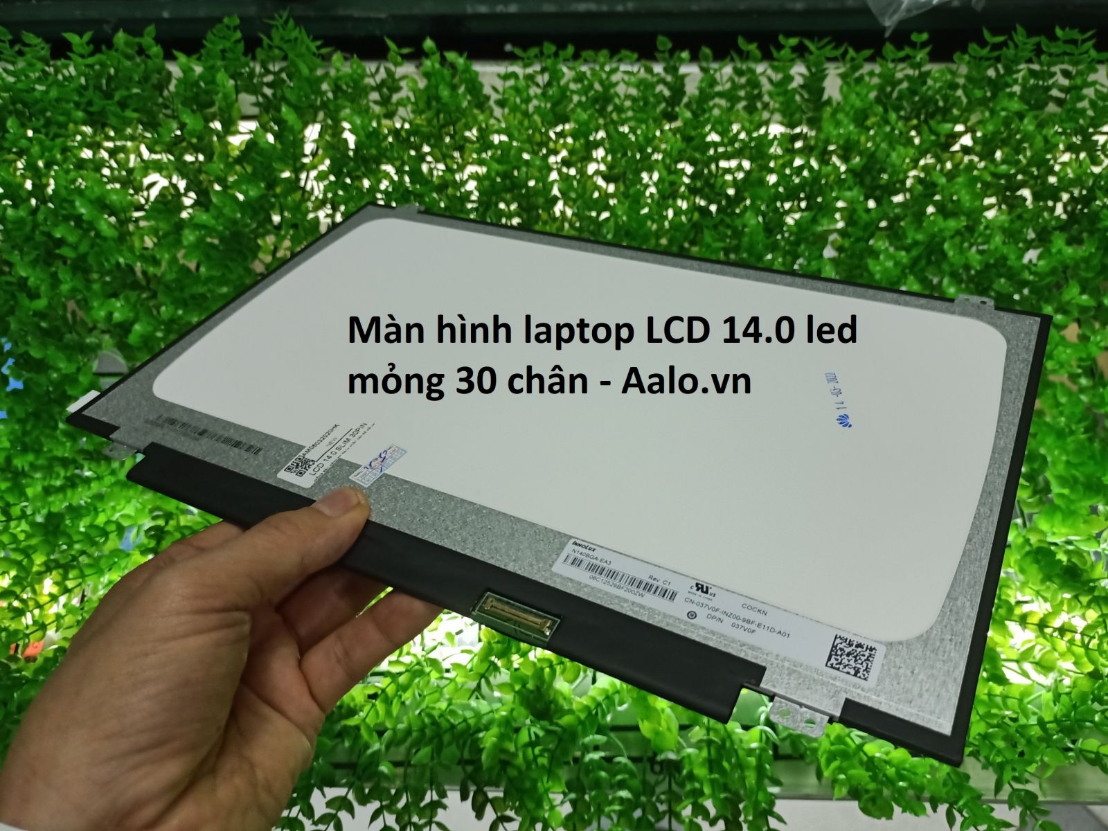 Màn hình Laptop Lenovo Ideapad 100, 100-14, 100-14IBY - Aalo.vn