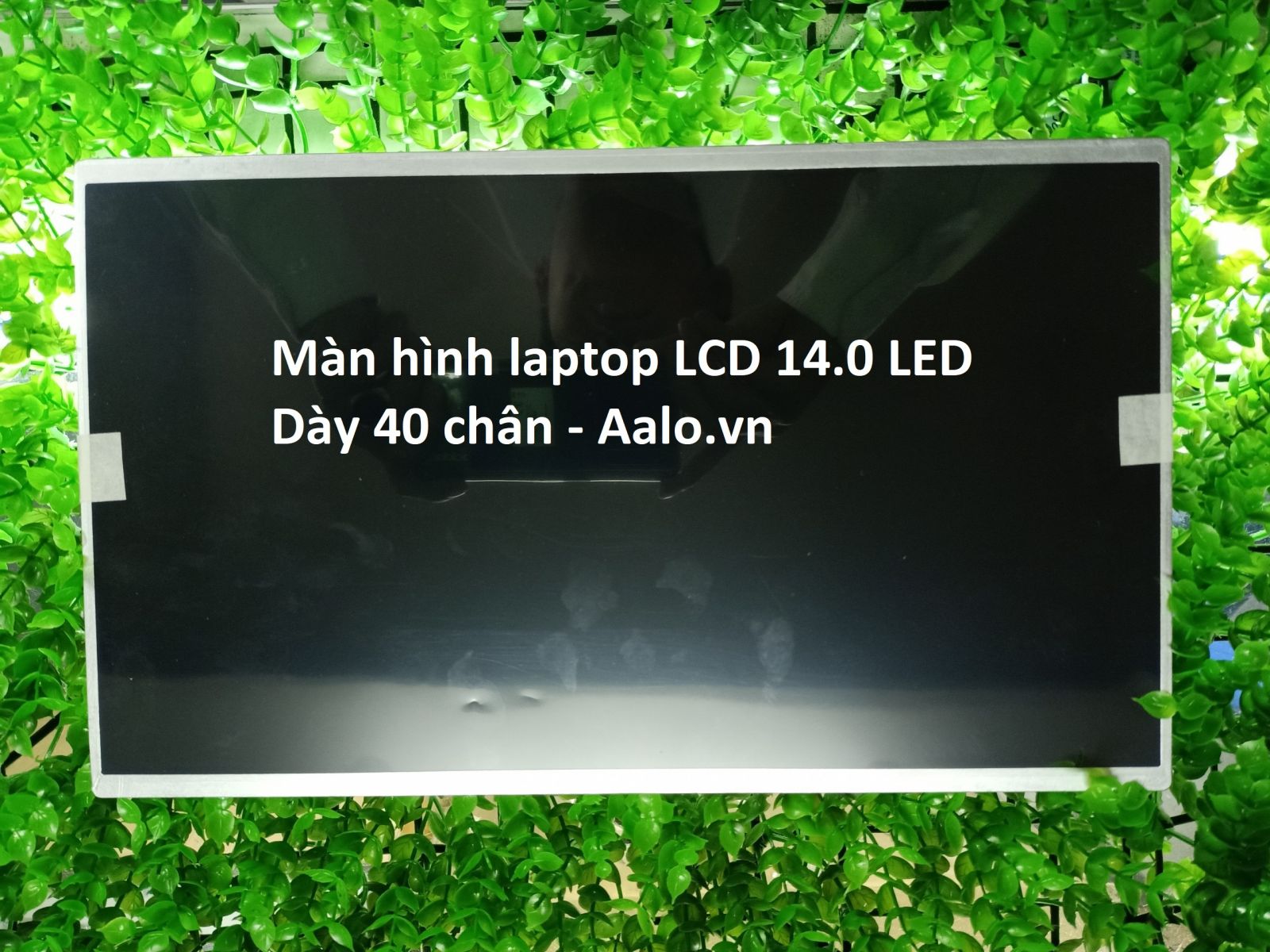 Màn hình Laptop Satellite L740 L740D Series - Aalo.vn