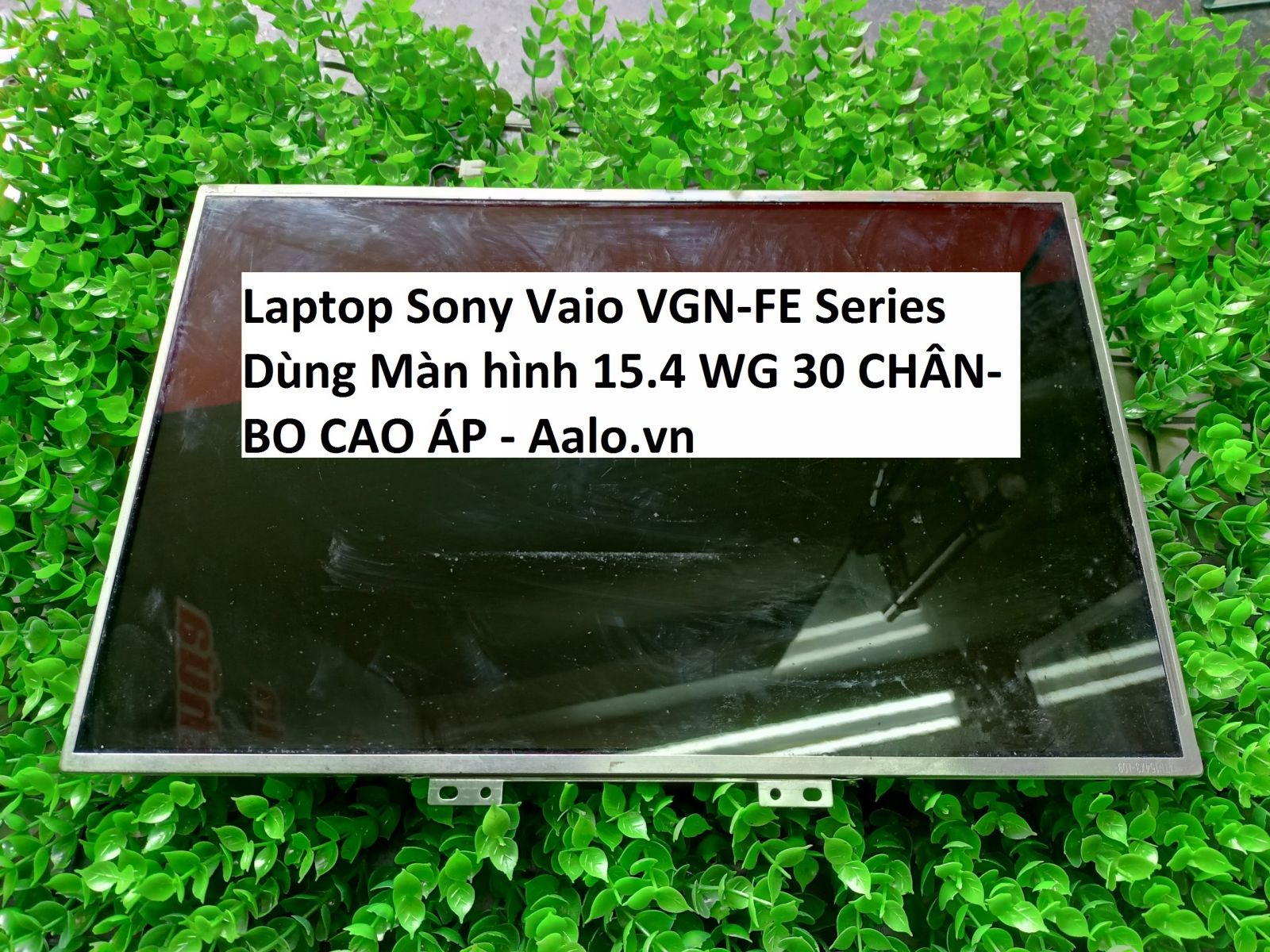 Màn hình Laptop Sony Vaio VGN-FE Series - Aalo.vn