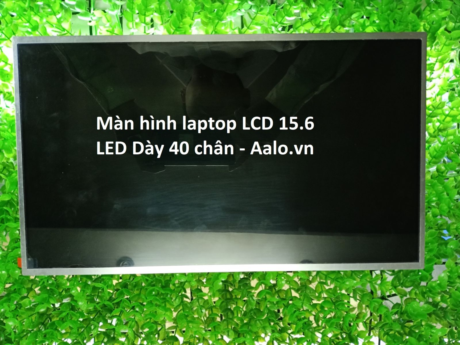 Màn hình Laptop Toshiba Satellite A655 Series - Aalo.vn