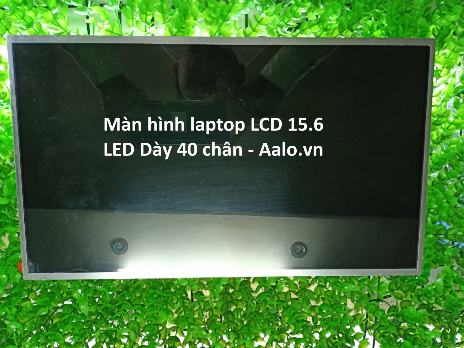 Màn hình Laptop Toshiba Satellite C855 Series - Aalo.vn