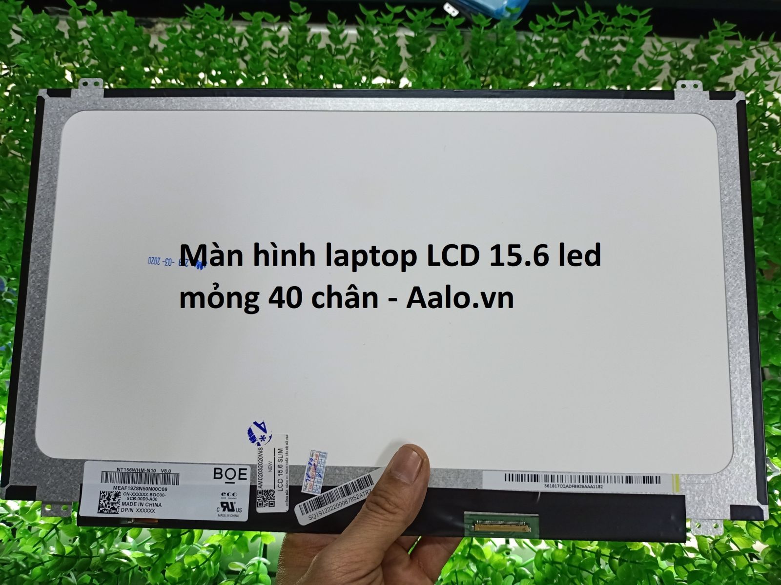 Màn hình Laptop Toshiba Satellite U50D-A Series - Aalo.vn