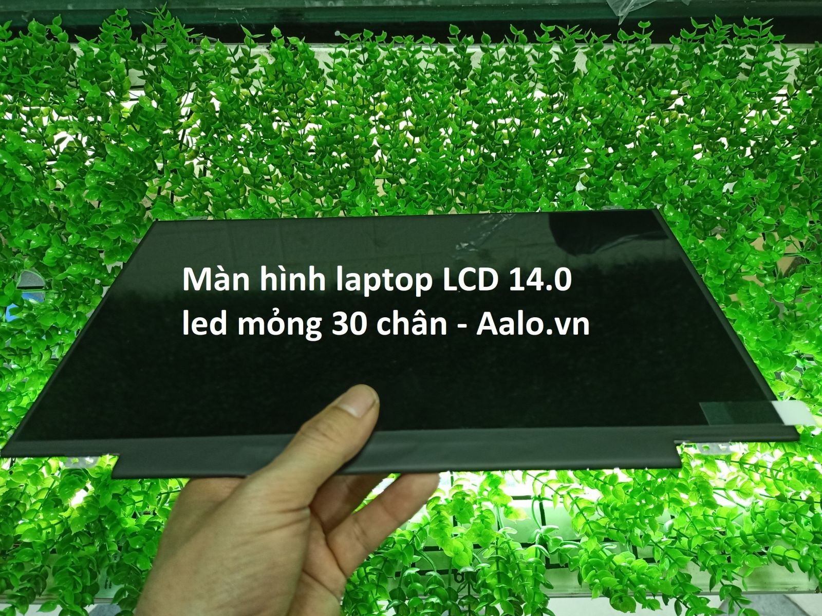 Màn hình laptop Asus K451 K451LA K451LB - Aalo.vn