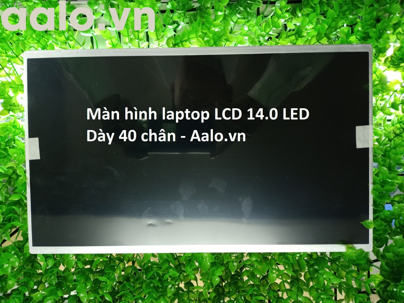 Màn hình laptop Dell Inspiron 1400, 1464 - Aalo.vn