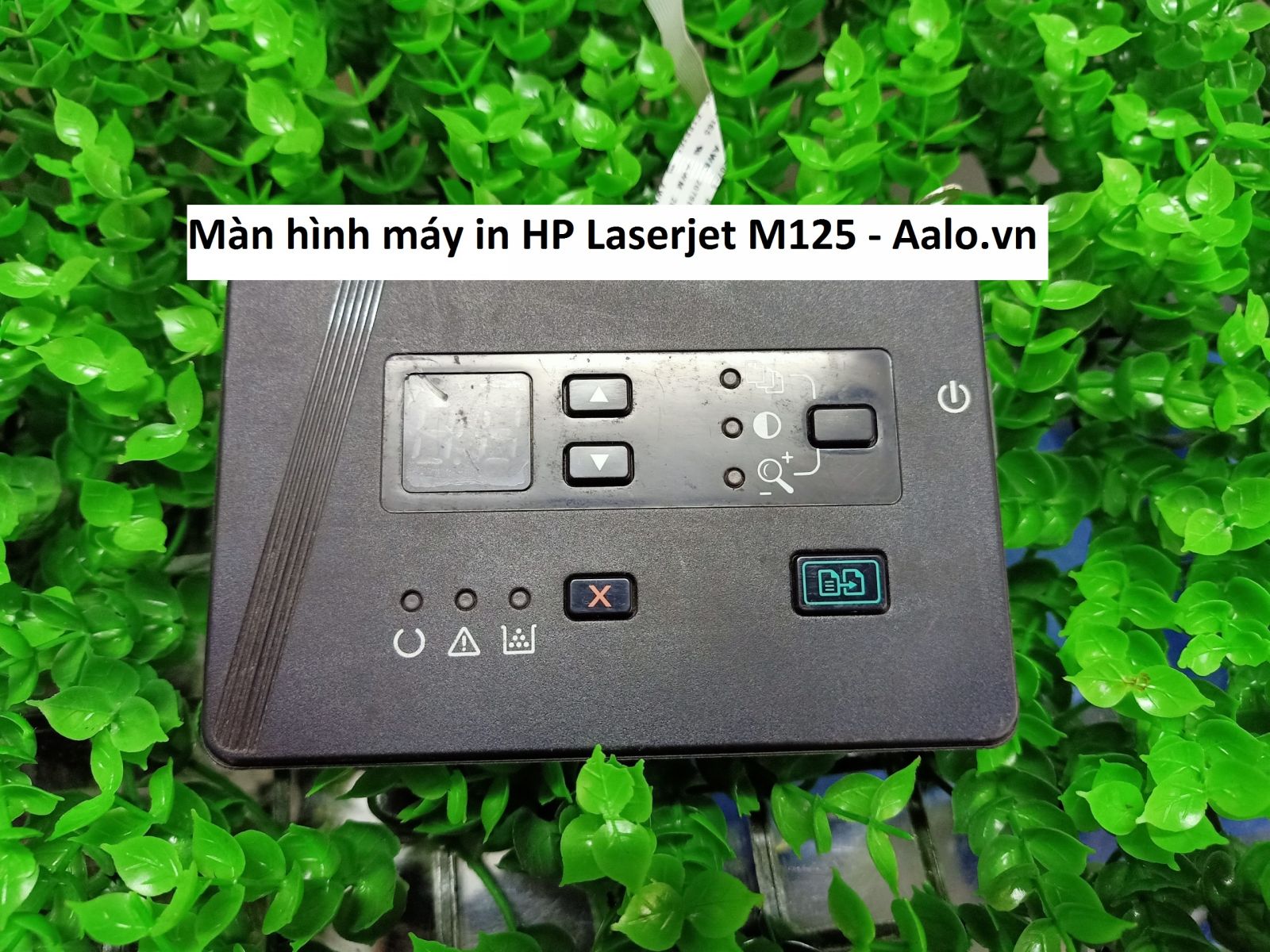 Màn hình máy in HP Laserjet M125 - Aalo.vn