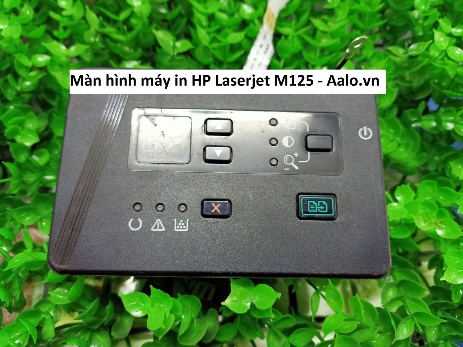 Màn hình máy in HP Laserjet M125 - Aalo.vn
