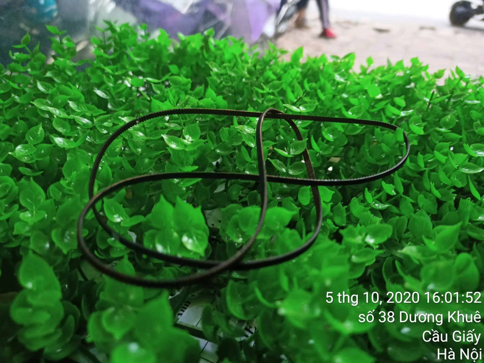Dây curoa máy in phun màu đa chức năng Canon Pixma G2000 - aalo.vn