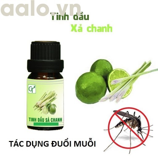 Tinh dầu Sả Chanh Thiên Vũ 10ml - aalo.vn