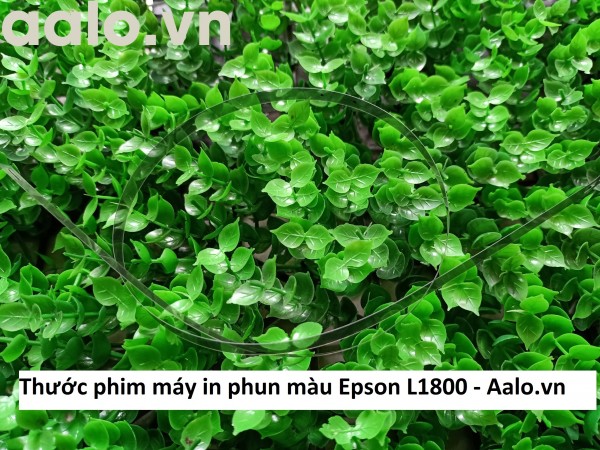 Thước phim máy in phun màu Epson L1800