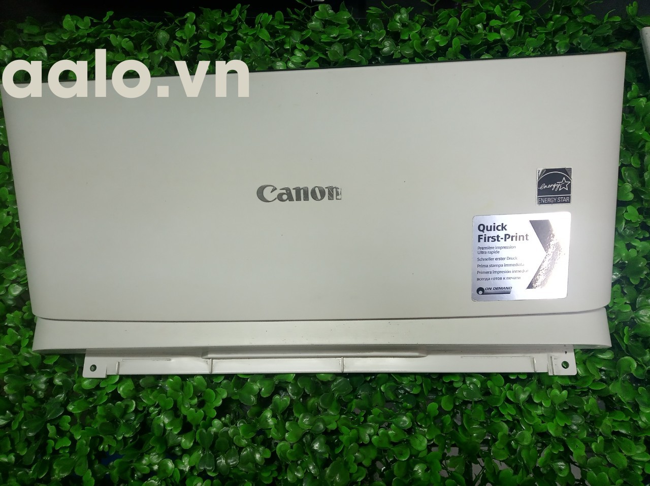 Cửa  Máy In Laser Canon LBP 252dw- aalo.vn