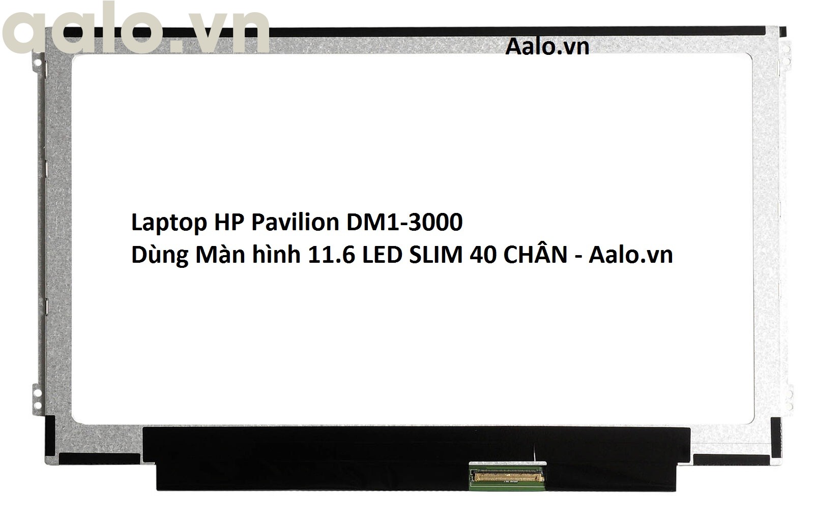 Màn hình Laptop HP Pavilion DM1-3000