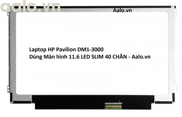 Màn hình Laptop HP Pavilion DM1-3000
