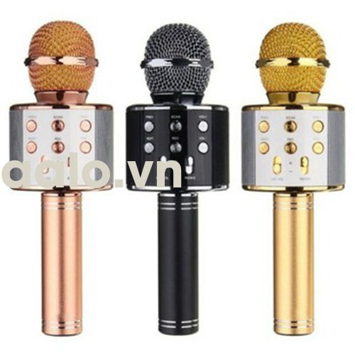  Micro Karaoke Kiêm Loa Bluetooth SD17 Hàng Chuẩn Chính Hãng-aalo.vn