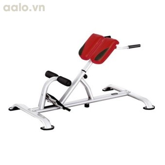 Máy tập cơ lưng hông Tiger Sport TG-200  