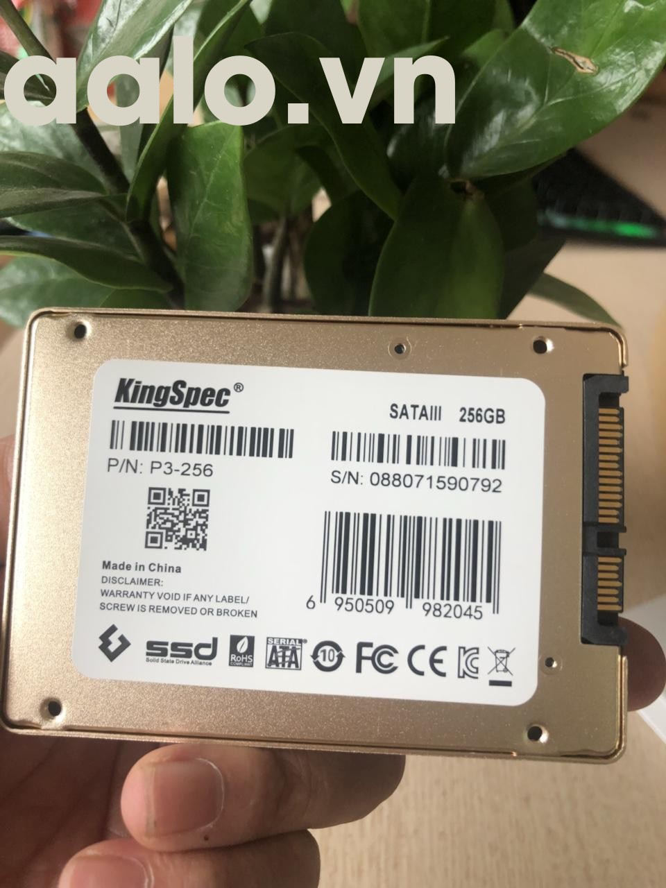 Ổ cứng SSD Kingspec P3 - 256GB - 2.5 Sata III - aalo.vn