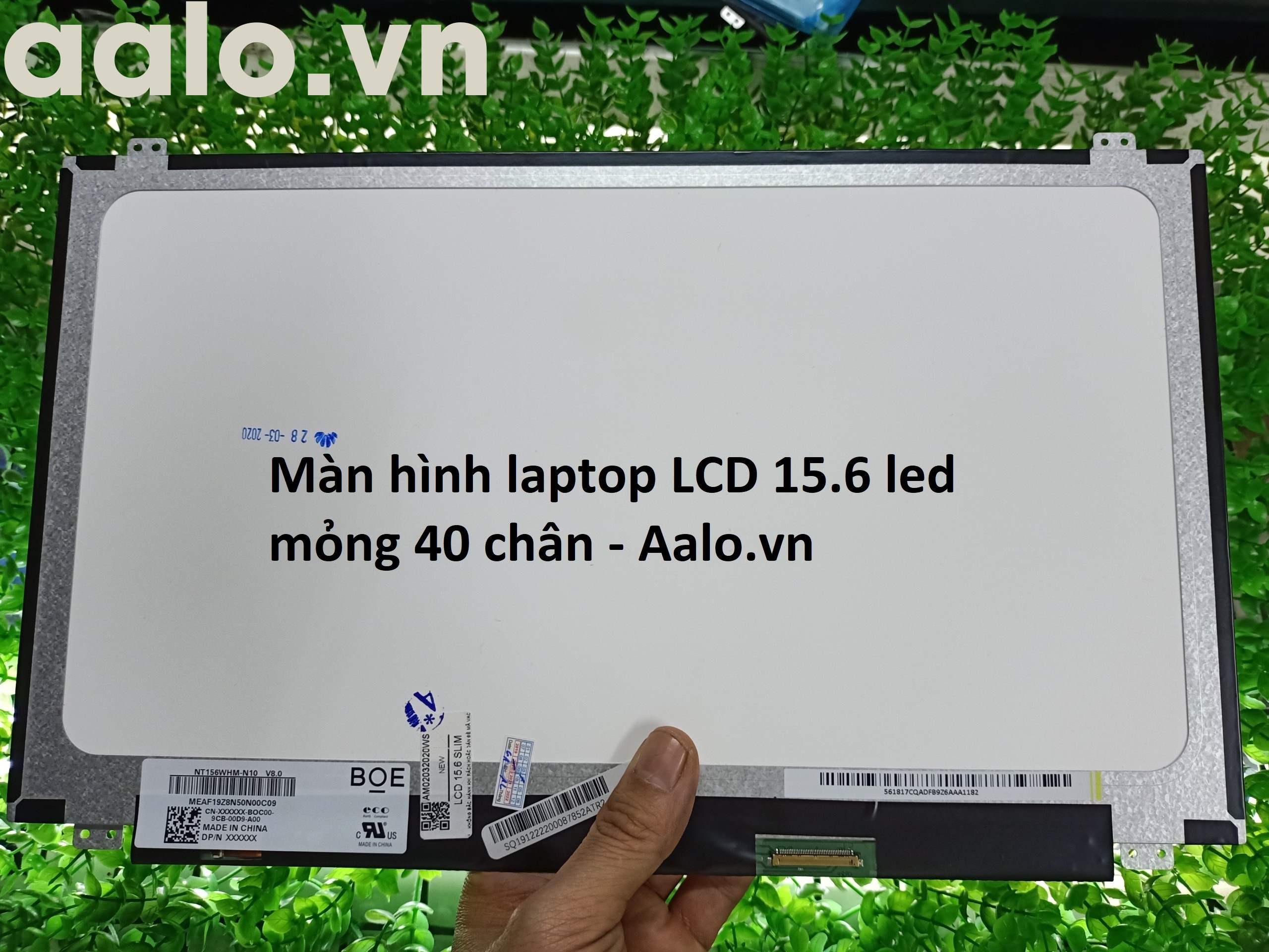 Màn hình Laptop Toshiba Satellite L50-B Series