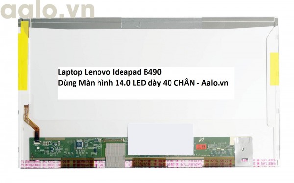 Màn hình Laptop Lenovo Ideapad B490