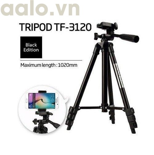 Bộ 1 Tripod TF-3120 kèm 1 Kẹp điện thoại và 1 Remote (Tặng Giá Đỡ Bạch Tuộc Đa Năng)