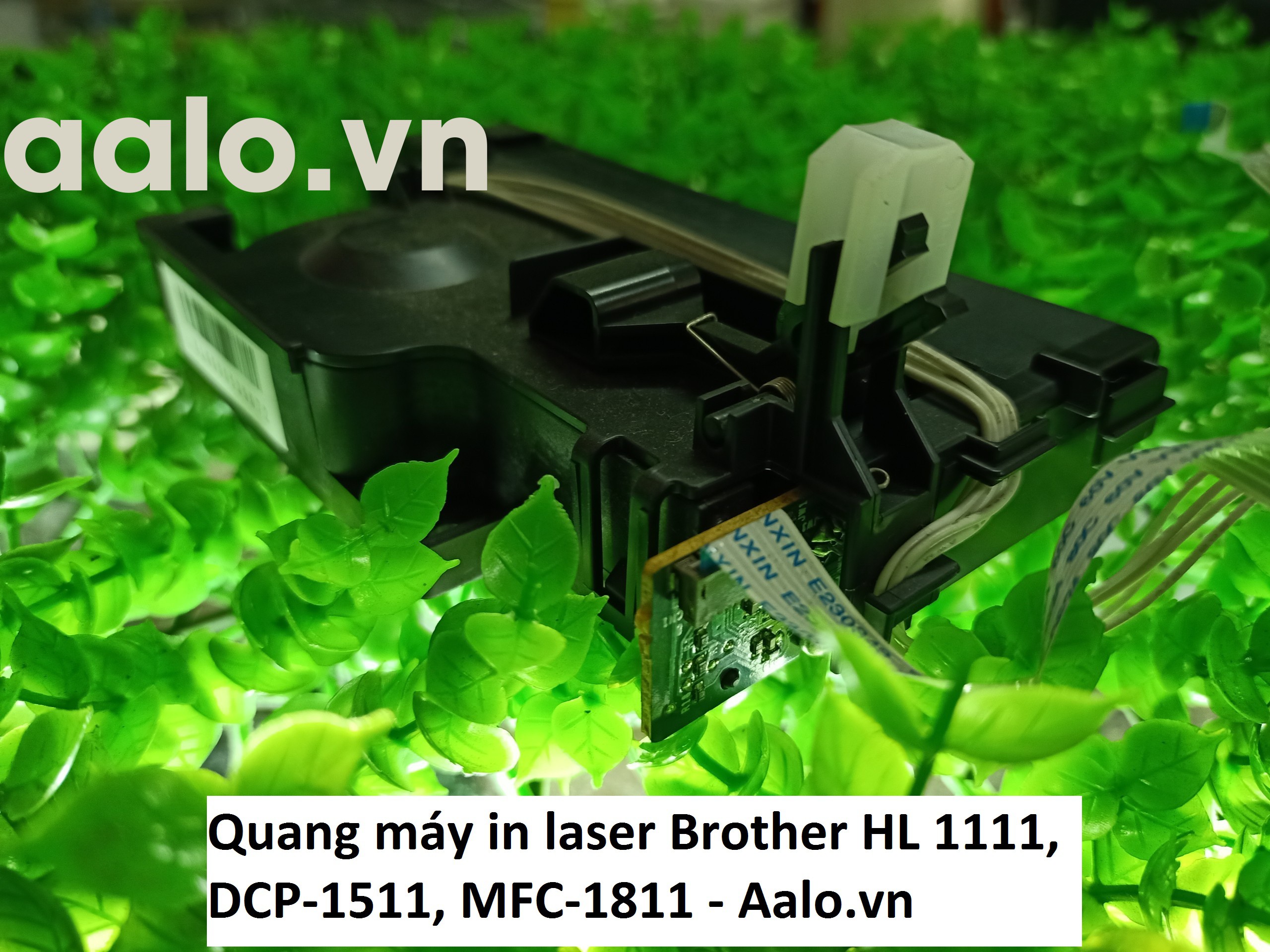 Quang máy in laser Brother HL 1111, DCP-1511, MFC-1811