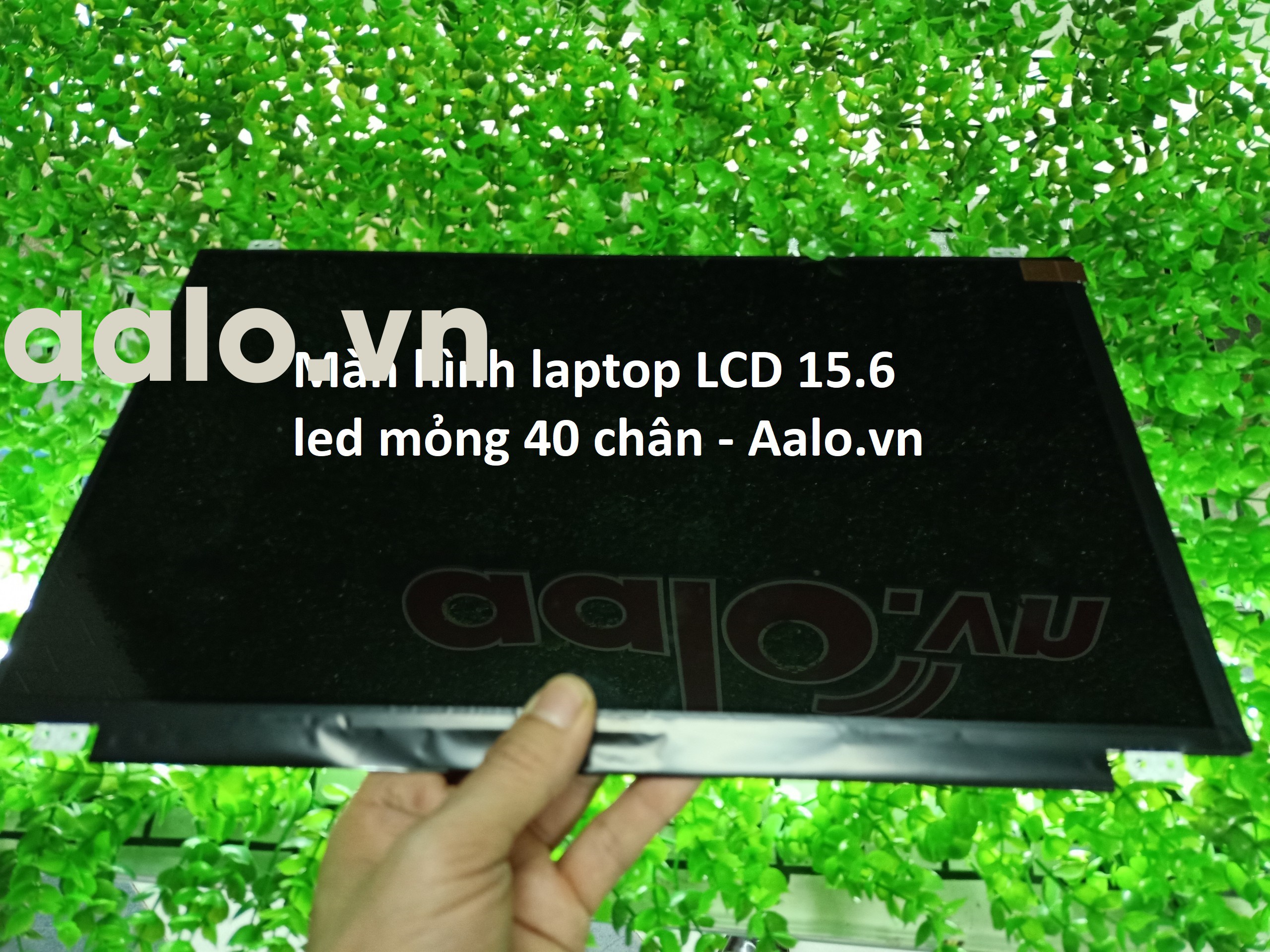 Màn hình laptop LCD 15.6 led mỏng 40 chân