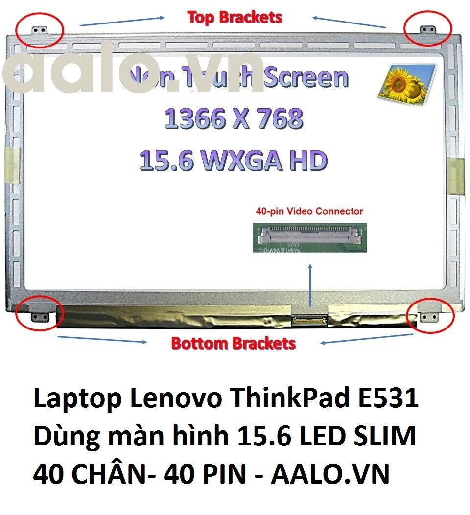 Màn Hình Laptop Lenovo ThinkPad E531