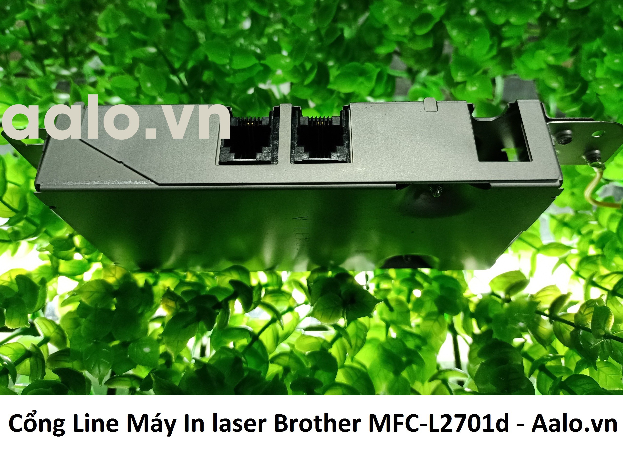 Cổng Line Máy In laser Brother MFC-L2701d