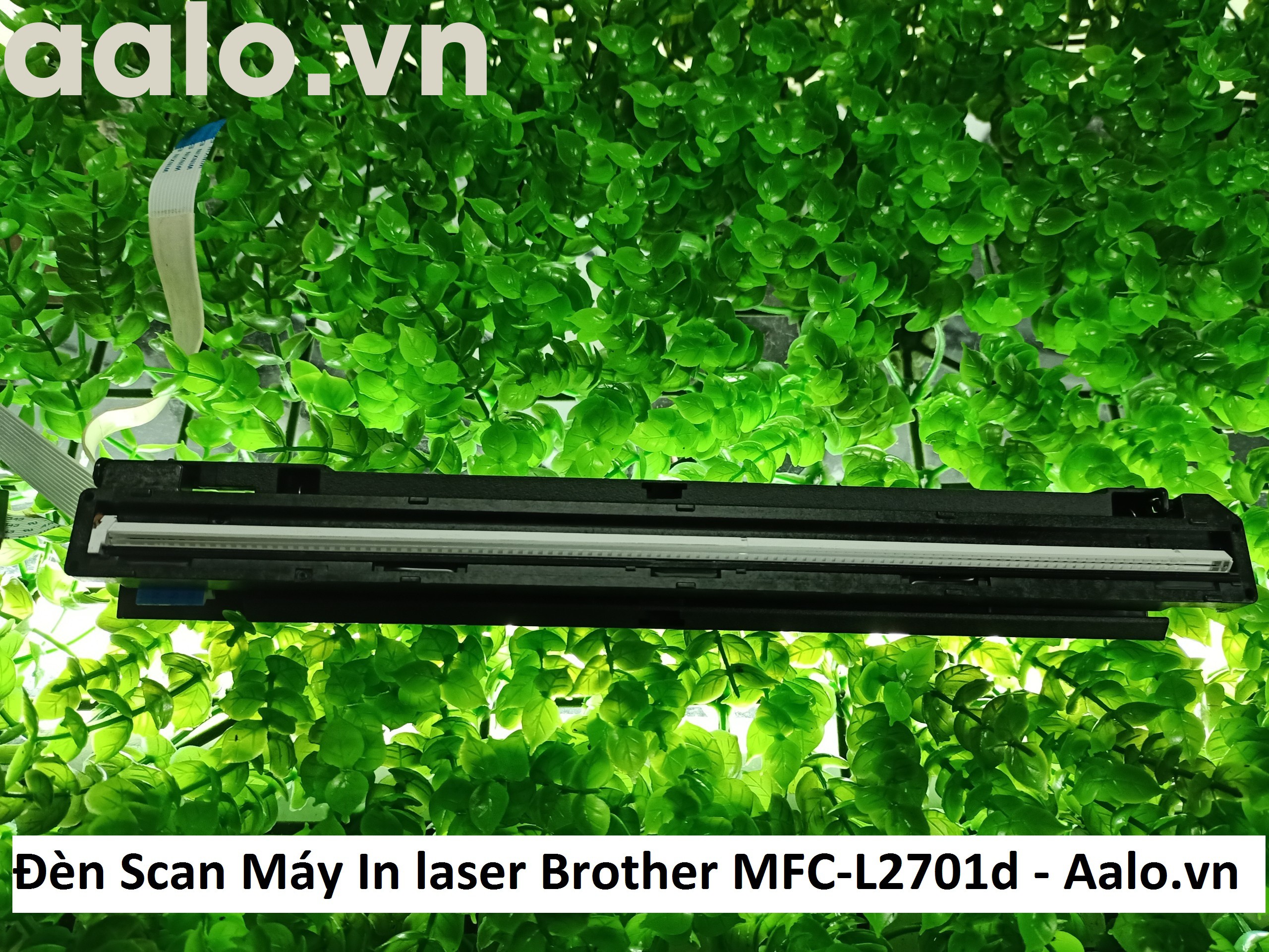 Đèn Scan Máy In laser Brother MFC-L2701d