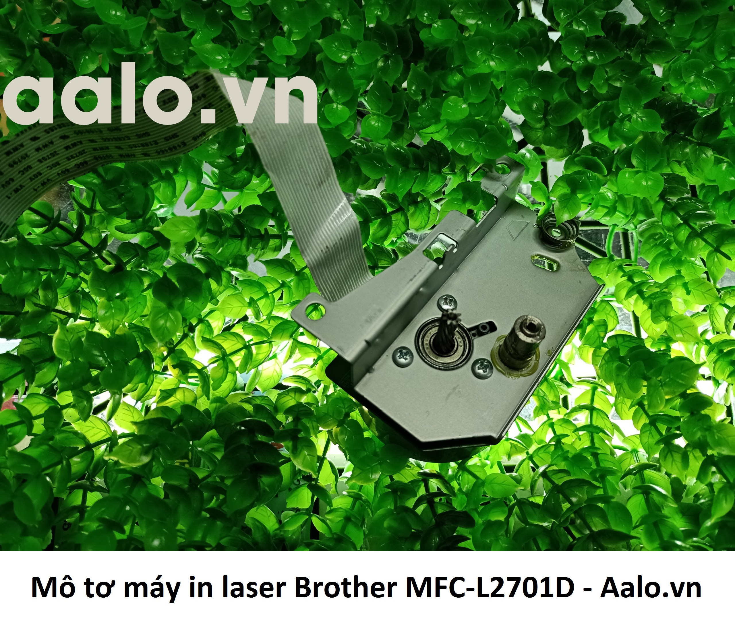 Mô tơ máy in laser Brother MFC-L2701D