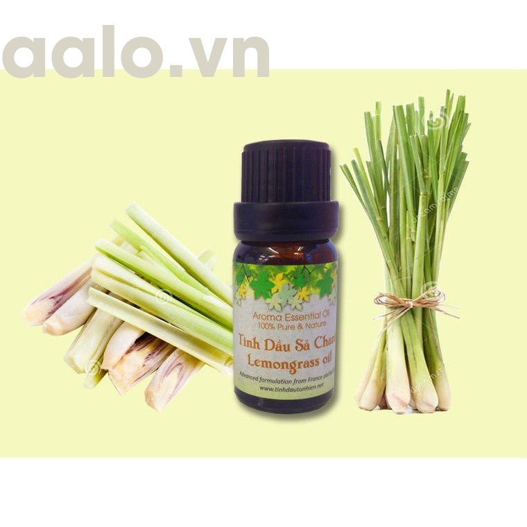 Tinh dầu Sả Chanh Thiên Vũ 10ml - aalo.vn