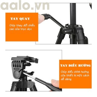 Tripod 3388 có Remote Chụp ảnh ( mẫu mới 2018 cao 140 cm) - aalo.vn